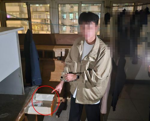 男子冒充室友顶包逃犯，真相大白的偷换人生之路