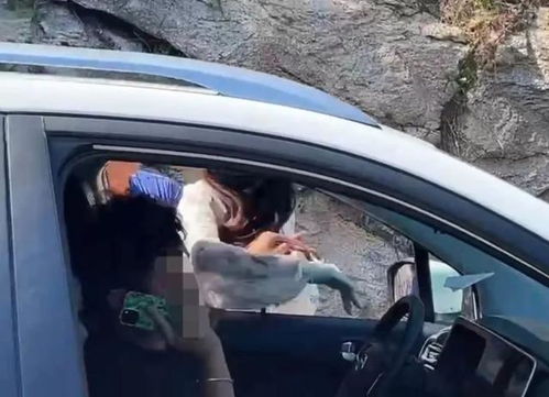 青岛男子被逆行女司机殴打，不和解