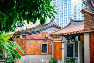 国庆假期人比趵突泉里的鱼还多——走进中国的历史名城——济南