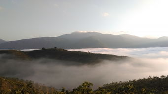哀牢山，曾经的荒野和未来的旅游胜地