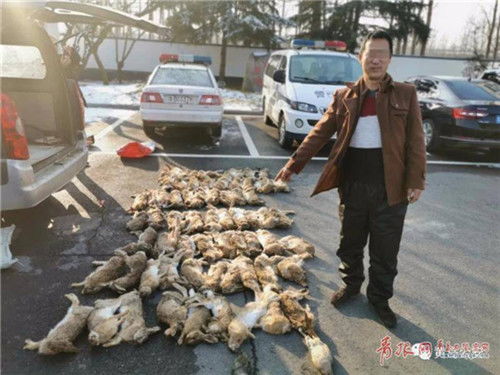 严厉打击走私野生动物犯罪活动 关注生态安全