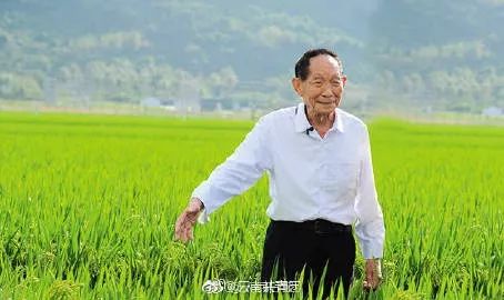 非洲农民称袁隆平是我的老师