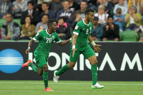 为什么中国中央电视台不再转播伊朗对阵沙特阿拉伯的世界杯足球赛？