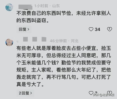 老人拾玉米被打致1死1伤？当地回应