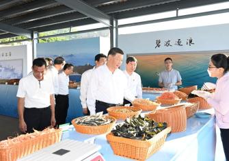 种好改革开放试验田