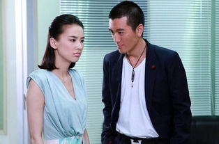 双骄星·黄金岁月，黄圣依与杨子的魅力