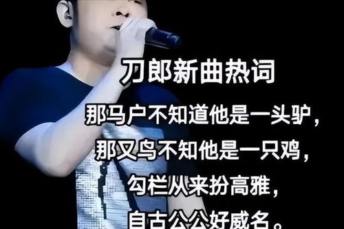 丁太升批刀郎的歌太土——一次音乐与文化的碰撞