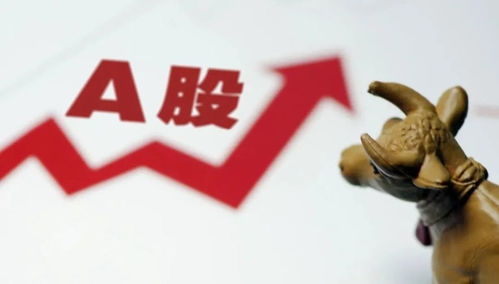 A股为什么又涨疯了？