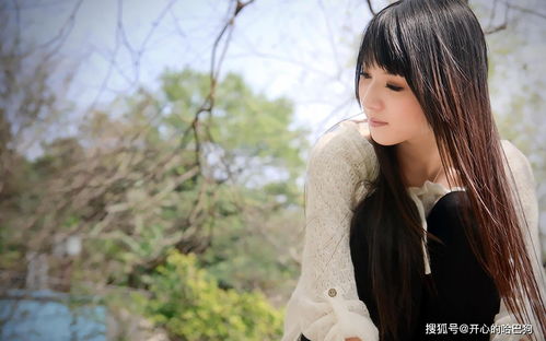 陆瑾深温,以柔情绘短剧的魅力 陆瑾深温,以柔情绘短剧的魅力