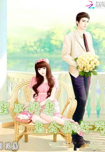 陆少的隐婚娇妻，甜蜜的短剧之旅