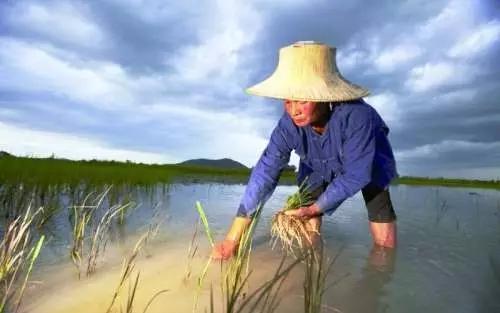 农民的未来，迈向更加火热的生活