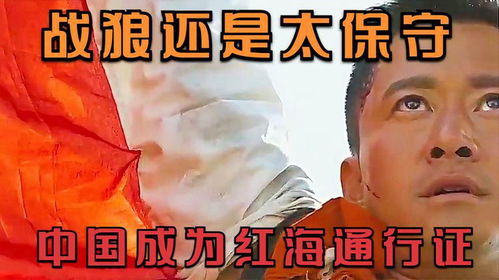 关于战狼和拍保守的争论