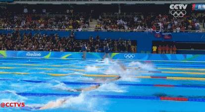 中国游泳队闪耀国际赛场,斩获7金4银1铜,书写荣耀篇章 中国游泳队闪耀国际赛场,斩获7金4银1铜,书写荣耀篇章