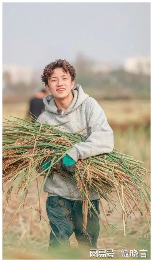 种完麦子,我向南方的旅程 种完麦子,我向南方的旅程