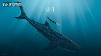 揭秘台湾附近海域的神秘玩意,深海探索之旅 揭秘台湾附近海域的神秘玩意,深海探索之旅