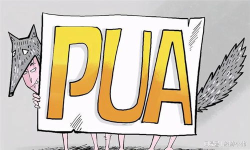 PUA刚搞明白 NPD又是啥_npep