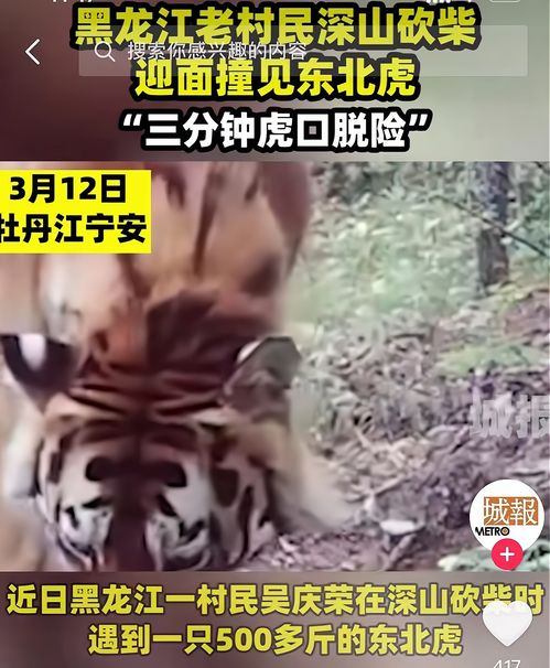 “那个老虎咬到人了，把牛也咬了”_老虎咬人是谁