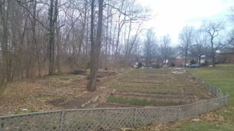 法国市长约见荒地种菜的中国大姐_法国大使爱上中国男人