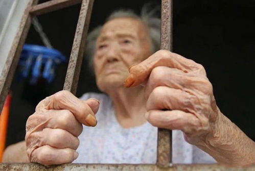 8岁男孩捡到独居老人全部积蓄15万