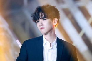 鹿晗：别逼我把韬叫上来