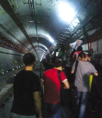 南京地铁隧道内出现野猪 监控曝光