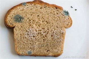 孕妈称吃到发霉百草味面包宫缩入院 孕妈称吃到发霉百草味面包宫缩入院