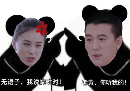 蔡明都对杨子无语了