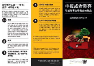 旅客携带1200件谷子入境被查 旅客携带1200件谷子入境被查