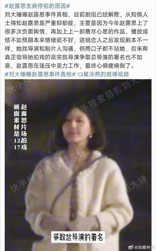 赵露思承认被打 患抑郁症