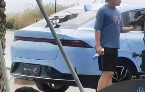 上海车展有人打架？不实