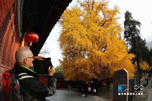 少林寺1500年的真实历史