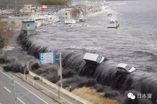 日本水产遭重锤 獐子岛等水产股涨停 日本水产遭重锤 獐子岛等水产股涨停
