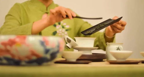 多年后，爱你成瘾亦成罪——短剧的寓言故事脱离渣男后团宠千金在线掉马$离婚后被五个大佬弟弟宠上天