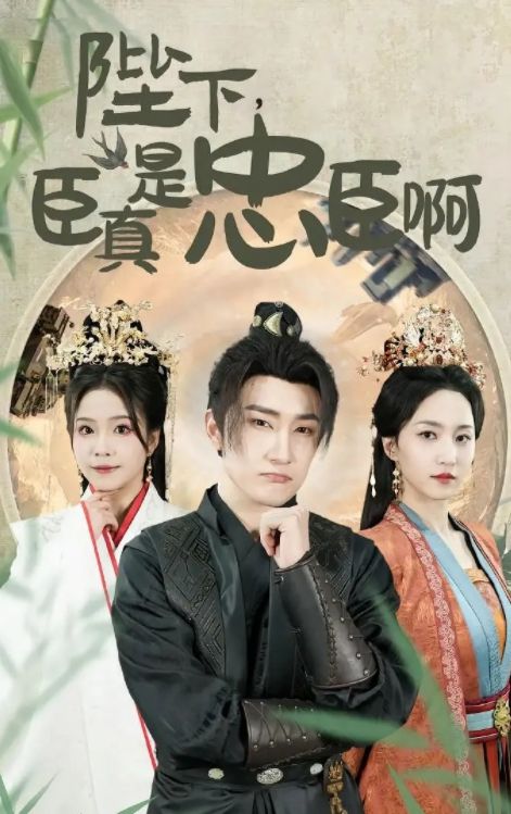 九霄龙帅短剧，风云激荡的剧情与人物魅力请君入瓮