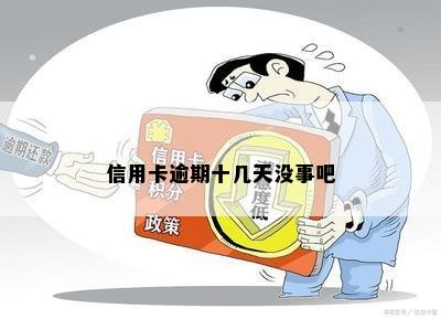 微商被骗后，追回损失的时间与策略