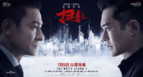 龙医狂飙，短剧的魅力与影响