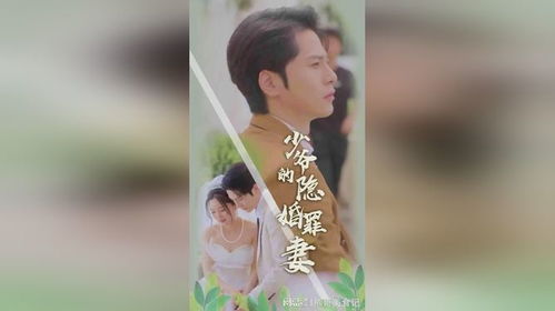 幕总的隐婚罪妻短剧