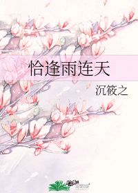 一遇红颜误终身，情感短剧的魅力与影响