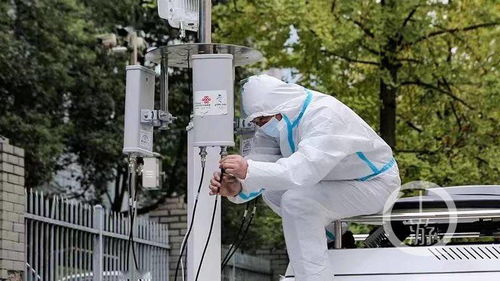 重庆小伙因抹灰技艺荣登世界冠军宝座