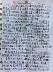两高中生奸杀教师案疑团，不写悔过书背后的真相