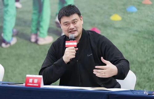辞职后 姚明发声