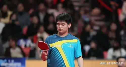 樊振东3-1林诗栋