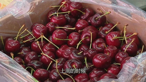 车厘子断崖降价原因