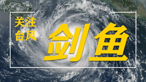 跨境寄递这些行为可能违法