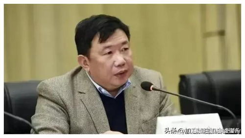辽宁一高校原校长王彤被查细节曝光