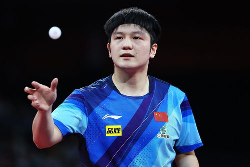 国乒战胜法国队 取得6连胜