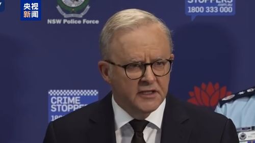 中国留学生亲历悉尼枪击:腿都跑软了 中国留学生亲历悉尼枪击:腿都跑软了